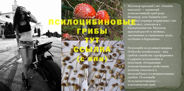 трава Вяземский