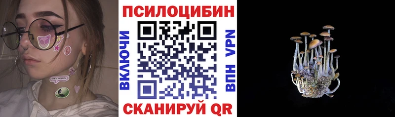 Псилоцибиновые грибы прущие грибы  Зея 